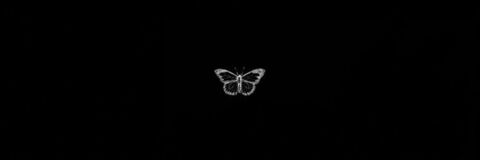 오직 팬들만 볼 수 있는 hertaylor의 헤더 사진