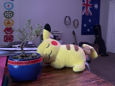 오직 팬들만 볼 수 있는 hi_im_kip의 헤더 사진