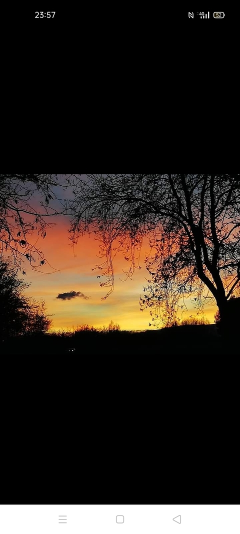 AlleenFans kopafbeelding hippitekk