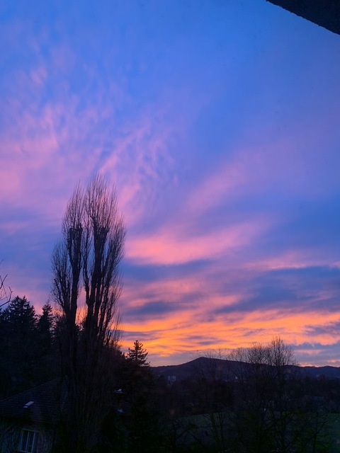 AlleenFans kopafbeelding hlnrvaaa