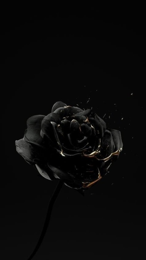 OnlyFans header picture hotmombummer