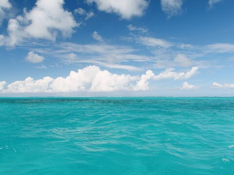 OnlyFans header picture howipaymyrent