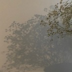 OnlyFans 프로필 사진 ienfelloryy