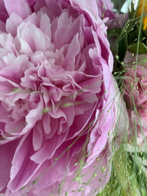 Снимка на заглавието на OnlyFans iidaketola