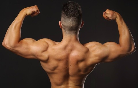 Foto de cabeçalho do OnlyFans imperialmusclefree