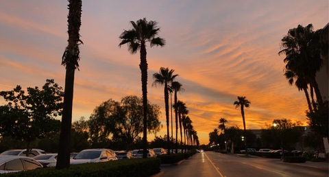 Image d'en-tête OnlyFans inthemoodxxx