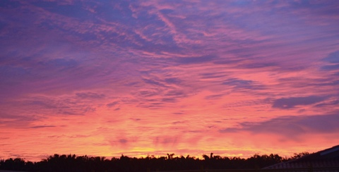 Снимка на заглавието на OnlyFans isaqueirolo