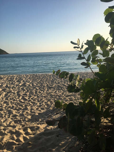 Immagine dell'intestazione OnlyFans isyuhloyal