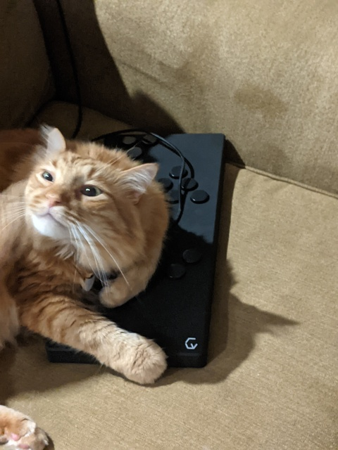 Gambar header OnlyFans italiabutnsfw