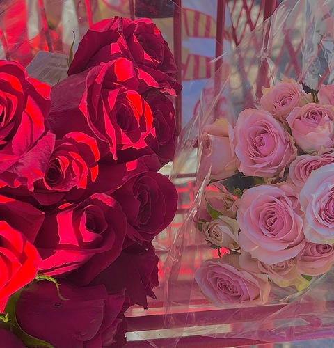 오직 팬들만 볼 수 있는 jadelove.xo의 헤더 사진