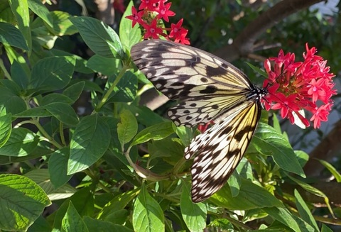 صورة رأس OnlyFans jamelizzzz