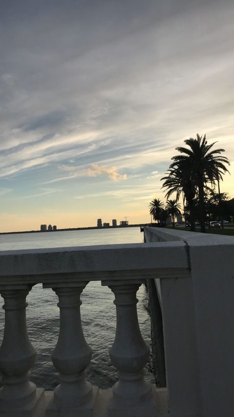 OnlyFans header picture janemichael