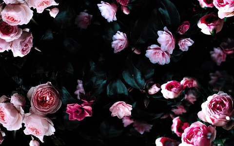 Immagine dell'intestazione OnlyFans jasminelovve