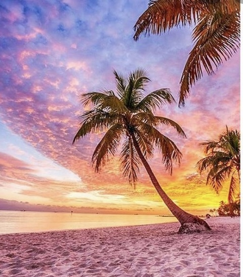 Immagine dell'intestazione OnlyFans jeaniejem