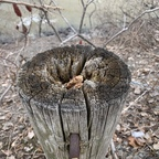 Profielfoto OnlyFans jege2