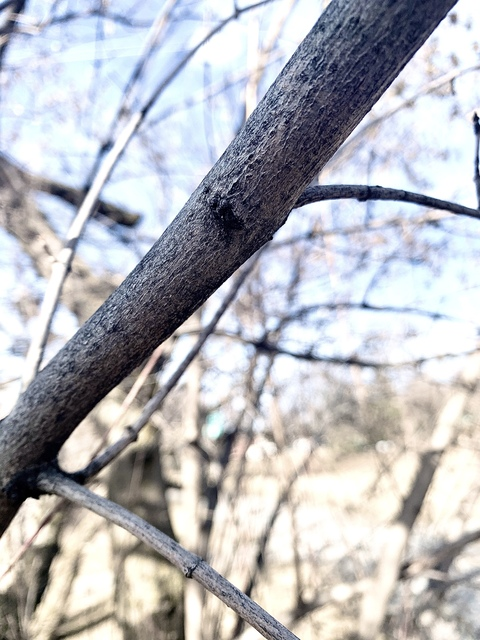 Foto de cabeçalho do OnlyFans jege2