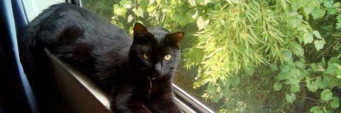 Снимка на заглавието на OnlyFans jesskitti