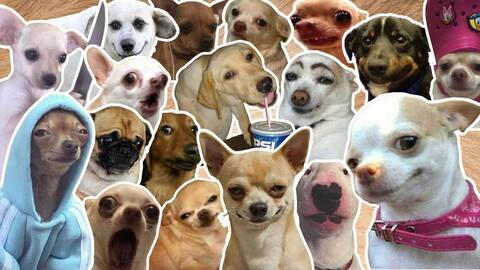 Image d'en-tête OnlyFans jesuck