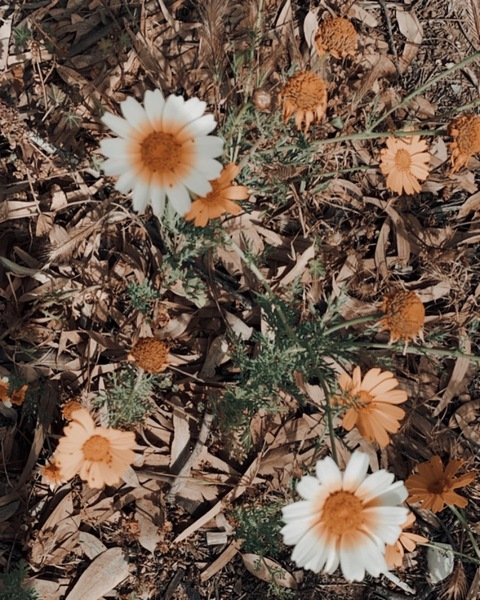 OnlyFans हेडर चित्र jooma