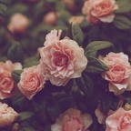 Profilbild bei OnlyFans von jordyn