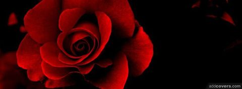 صورة رأس OnlyFans julie-rose