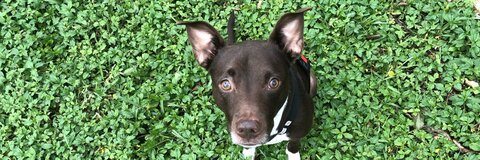 Foto de cabeçalho do OnlyFans kailieyeager7