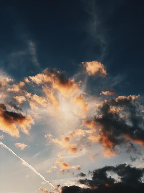 OnlyFans हेडर चित्र kansaseatbeef