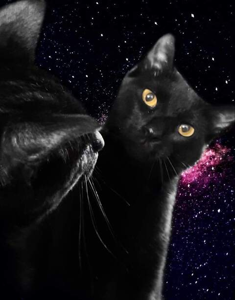 Imagen de encabezado de OnlyFans de katthegat