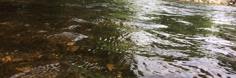 OnlyFans Header Bild kaykay64030231