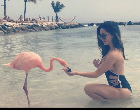 OnlyFans Header Bild kiersteezy