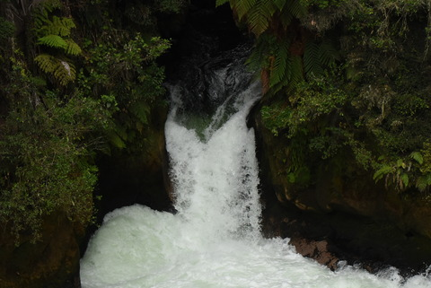오직 팬들만 볼 수 있는 kimgerdes의 헤더 사진
