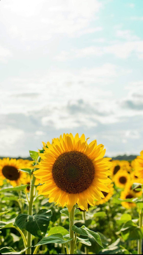 Foto de cabeçalho do OnlyFans kimmj