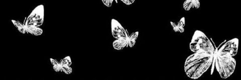 OnlyFans Header Bild kittenzclawz