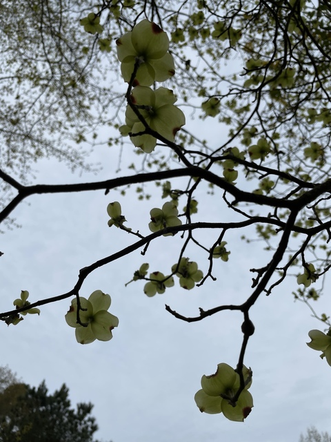 OnlyFansのヘッダー画像 kittyscott1