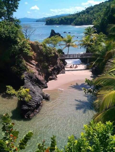 صورة رأس OnlyFans ksregis