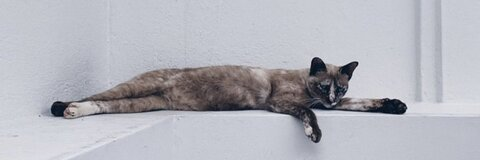 Картинка шапки OnlyFans lai91640829