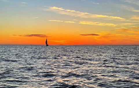 Image d'en-tête OnlyFans lealoha731