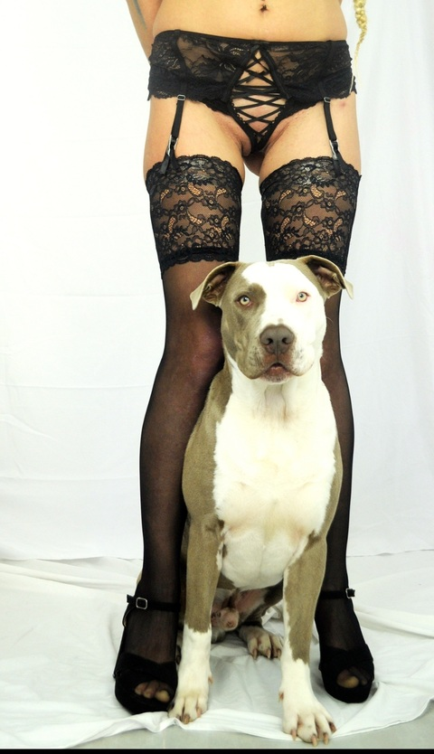 AlleenFans kopafbeelding leirevillar