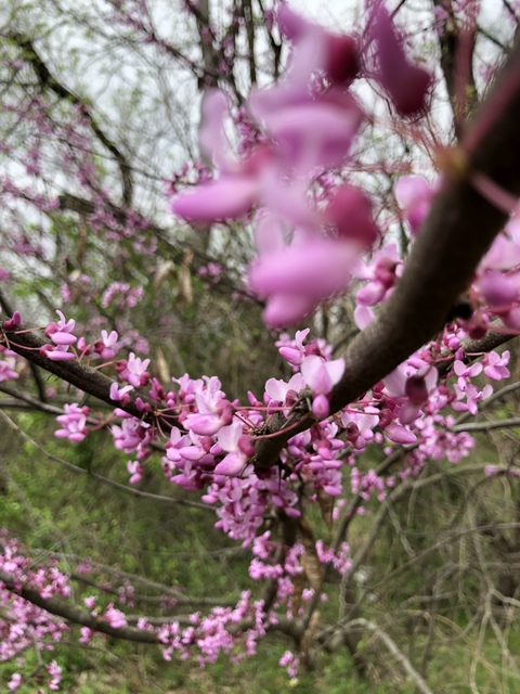 Obraz w nagłówku OnlyFans leofrost