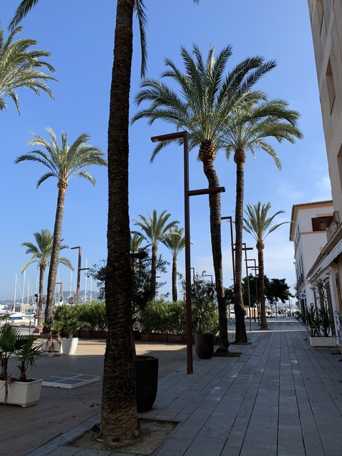 Obraz w nagłówku OnlyFans lightbulblonde