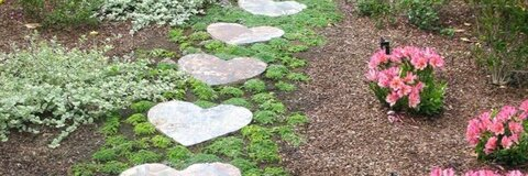 Картинка шапки OnlyFans lilpochaco