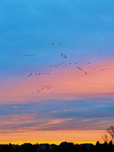 OnlyFansのヘッダー画像 lilrach