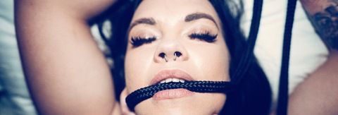 Immagine dell'intestazione OnlyFans little_beefcake