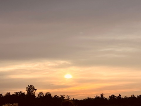 Imagen de encabezado de OnlyFans de livymarie01