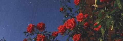 Картинка шапки OnlyFans lovelunar