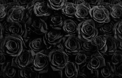 오직 팬들만 볼 수 있는 loveylotus의 헤더 사진