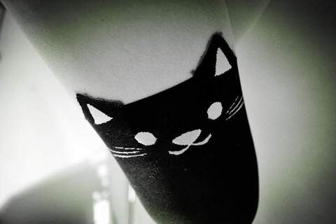 OnlyFans हेडर चित्र lucyboom