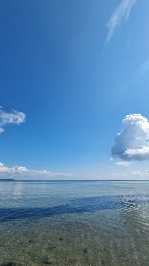 오직 팬들만 볼 수 있는 luisamuskelmensch의 헤더 사진