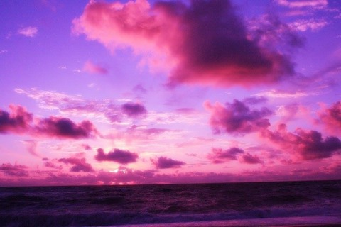 오직 팬들만 볼 수 있는 lunadlight의 헤더 사진