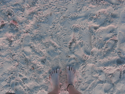 OnlyFans Header Bild lunalove96